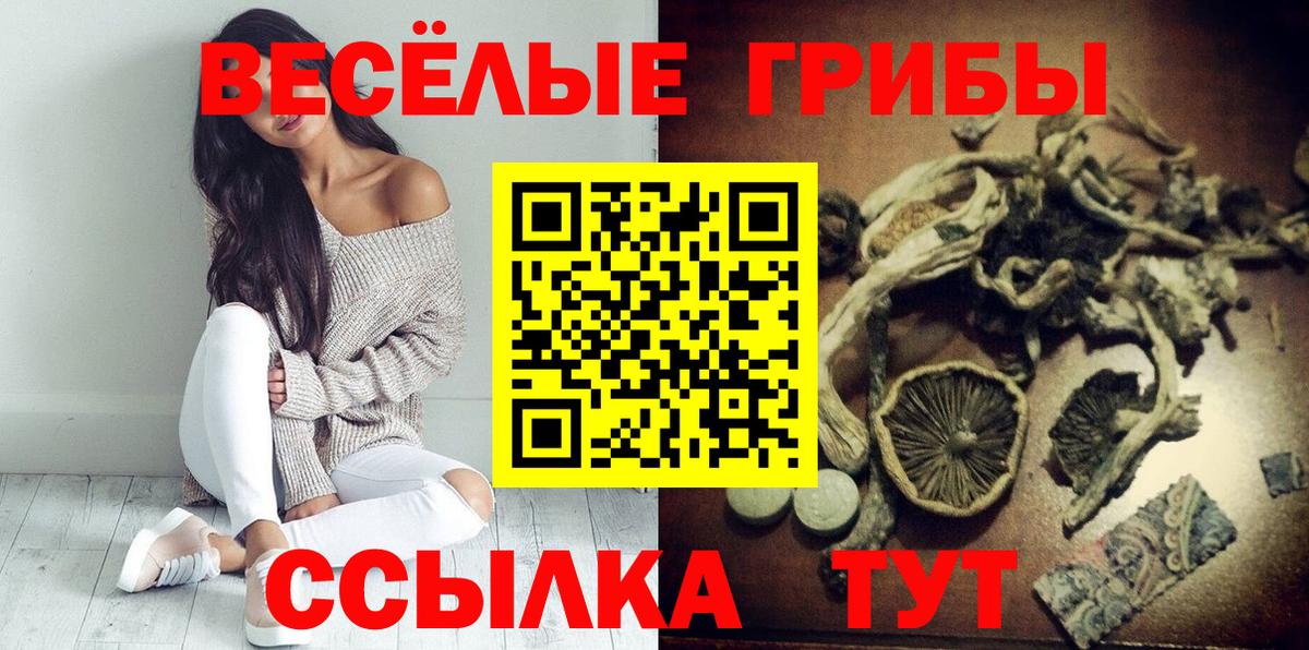 Псилоцибиновые грибы прущие грибы Кизилюрт