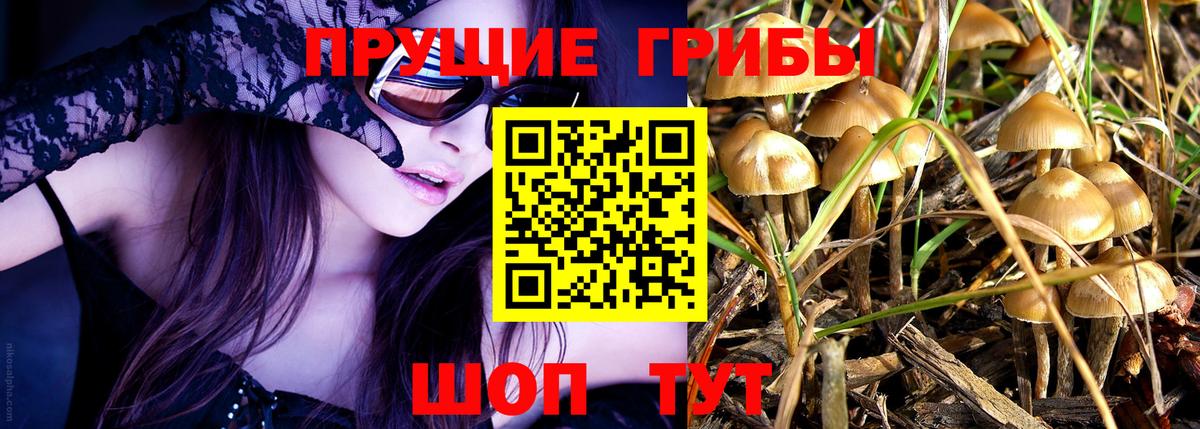 Псилоцибиновые грибы ЛСД  Вход с VPN  Кизилюрт  Галлюциногенные грибы Psilocybine cubensis 